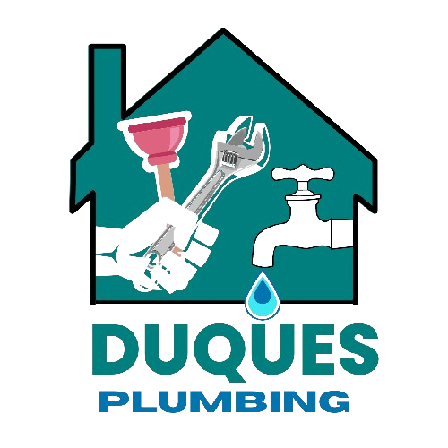 duquesplumbing.com